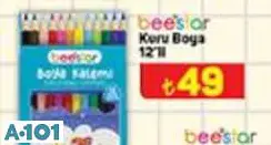 BEESTAR KURU BOYA 12'Lİ